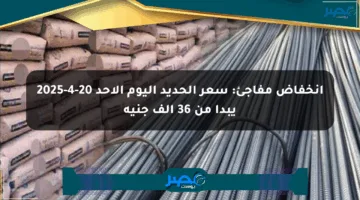 انخفاض مفاجئ: سعر الحديد اليوم الأحد 20-4-2025 يبدأ من 36 ألف جنيه